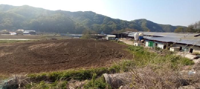 경기도 연천군 전곡읍 대지,임야,전답 경매 물건 사진