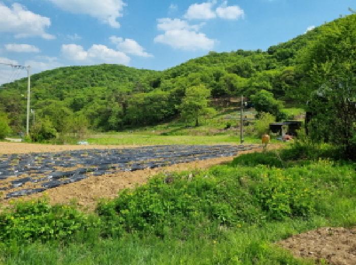 경기도 광주시 퇴촌면 답 경매 물건 사진