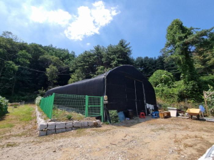 경기도 하남시 천현동 전 경매 물건 사진
