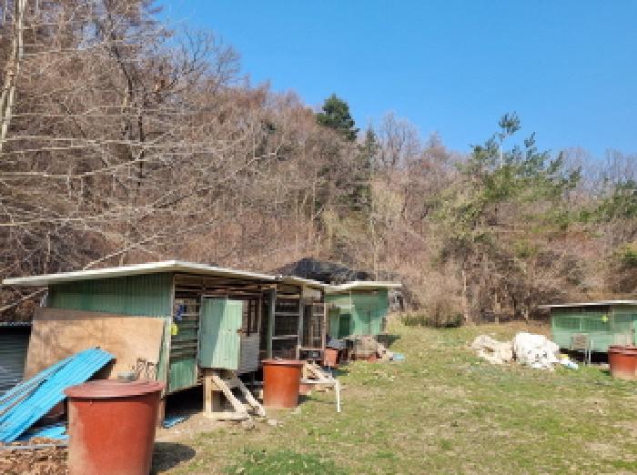 경기도 광주시 곤지암읍 임야 경매 물건 사진