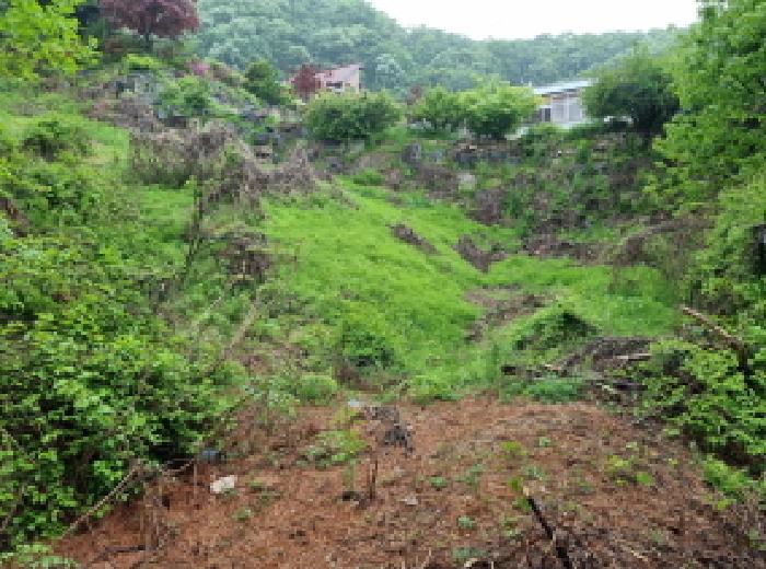 경기도 광주시 도척면 임야 경매 물건 사진