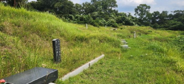 경기도 광주시 능평동 임야 경매 물건 사진