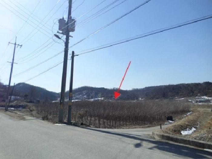 강원특별자치도 원주시 지정면 전 경매 물건 사진