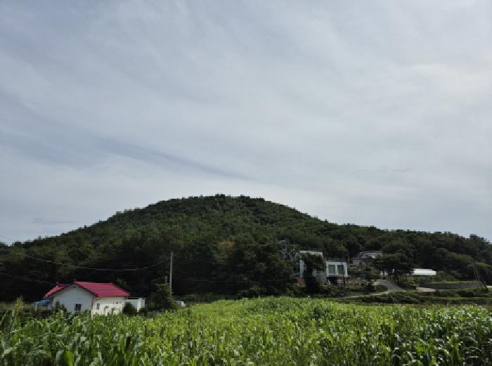 강원특별자치도 고성군 죽왕면 임야 경매 물건 사진