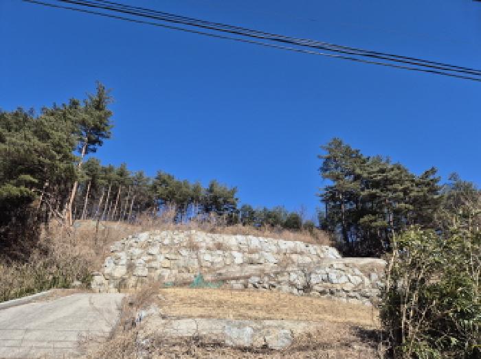 강원특별자치도 양양군 현남면 임야 경매 물건 사진