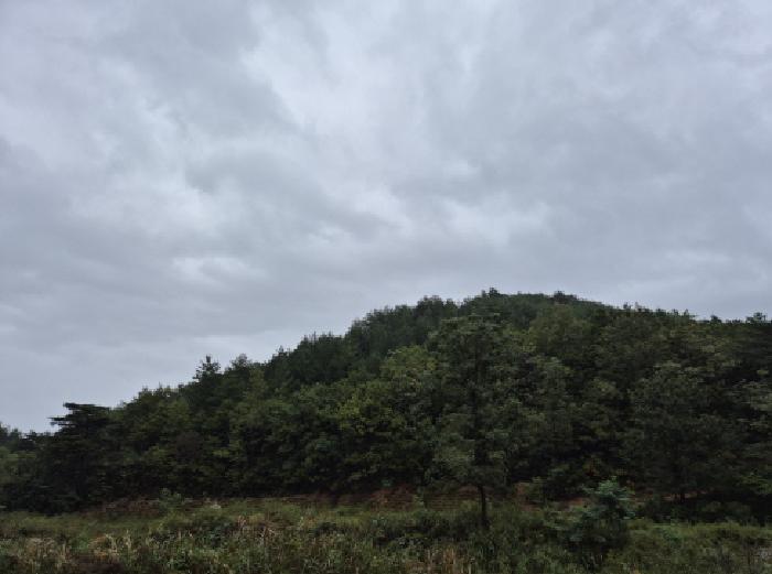 강원특별자치도 고성군 죽왕면 임야 경매 물건 사진