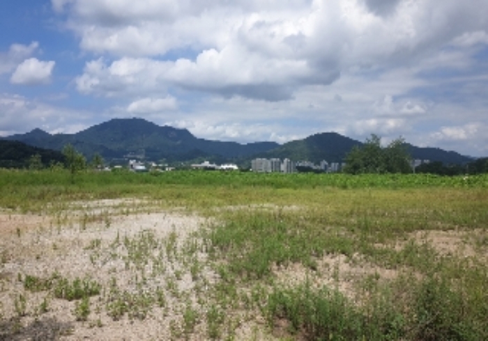 충청북도 음성군 음성읍 전 경매 물건 사진