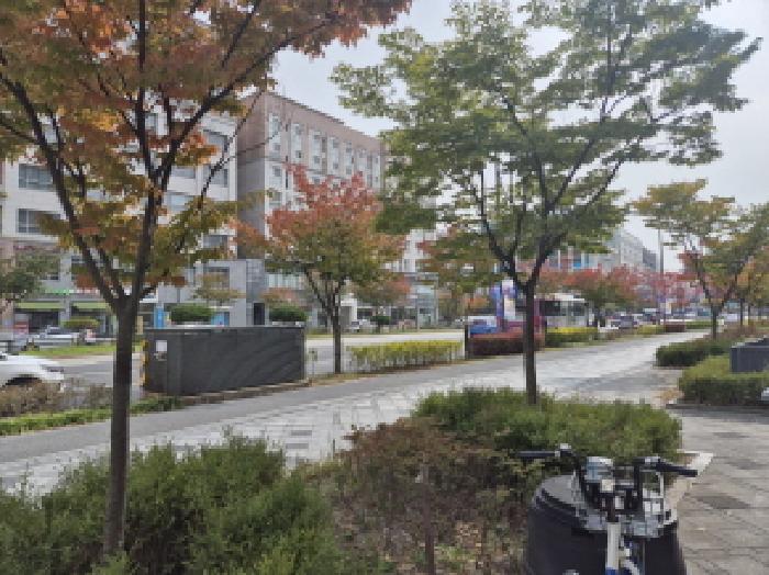 세종특별자치시 나성동 732 아파트 경매 물건 사진