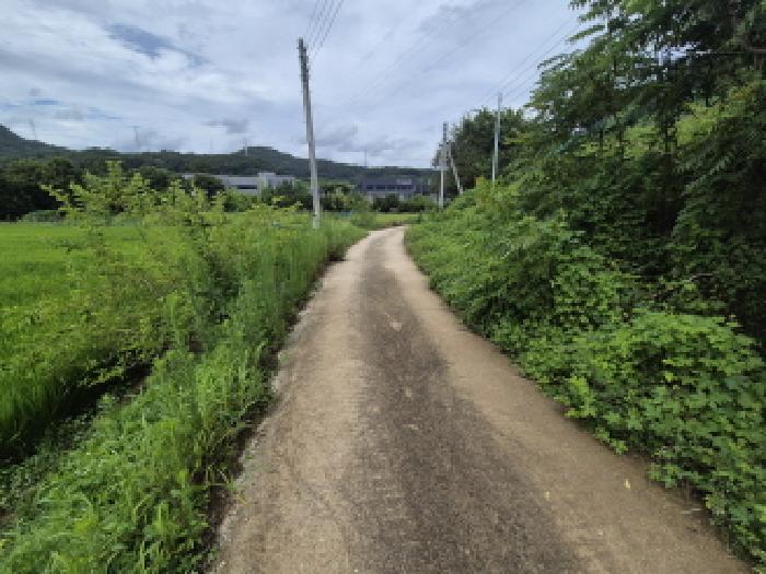 대전광역시 유성구 신동 답 경매 물건 사진