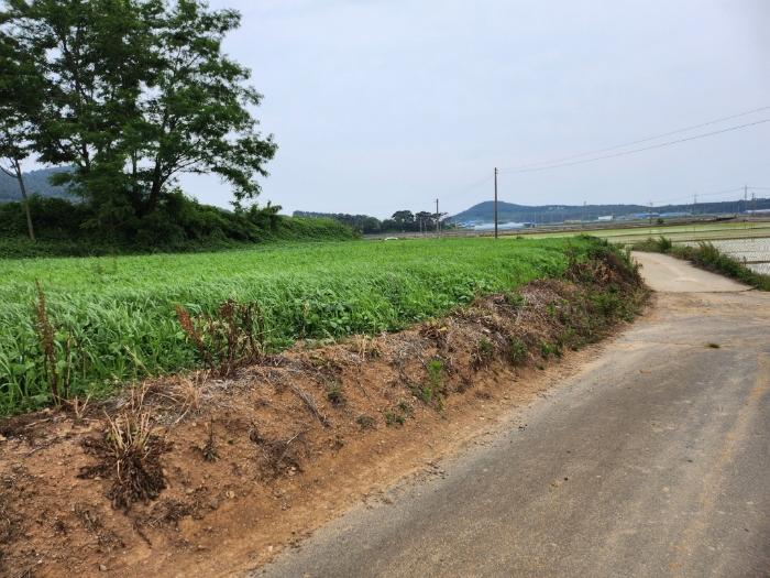 충청남도 서천군 비인면 창고시설 경매 물건 사진