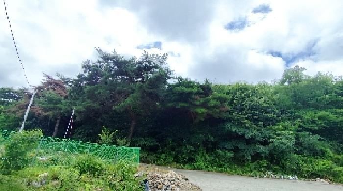 충청남도 보령시 화산동 임야 경매 물건 사진