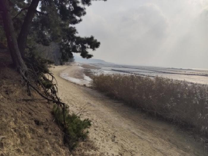 충청남도 서천군 장항읍 임야 경매 물건 사진