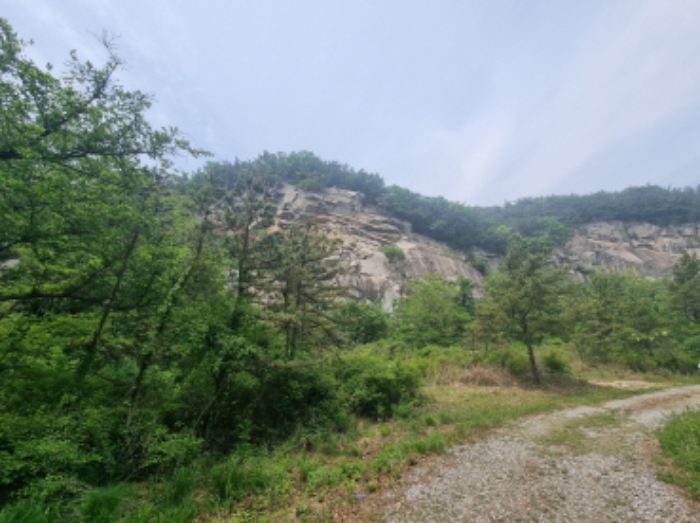 충청남도 아산시 영인면 임야 경매 물건 사진