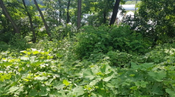 충청남도 천안시 동남구 답 경매 물건 사진