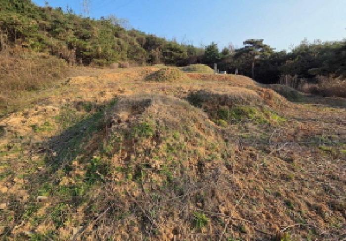 충청남도 아산시 신창면 답 경매 물건 사진