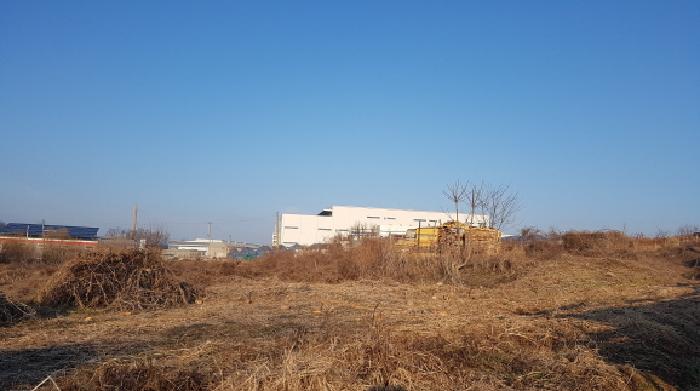 충청남도 천안시 서북구 대지 경매 물건 사진