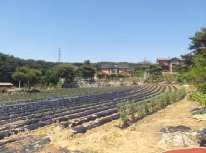 충청남도 당진시 순성면 대지 경매 물건 사진