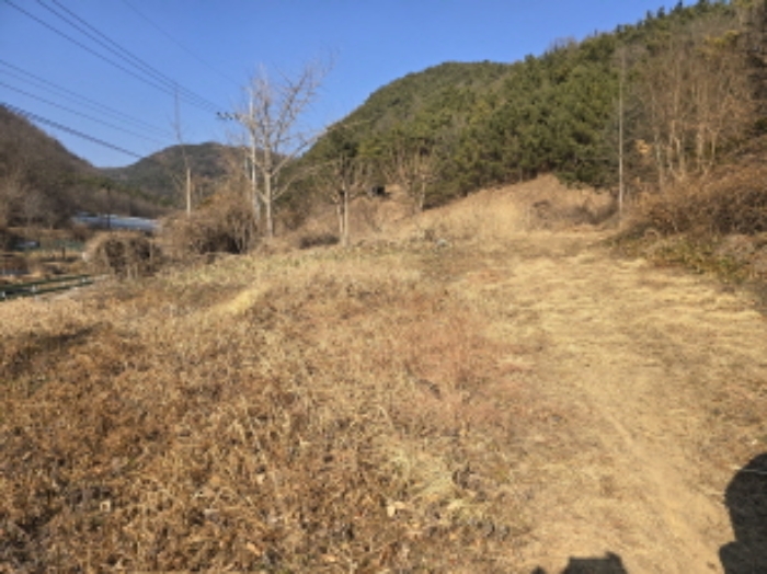 경상북도 경산시 하양읍 전 경매 물건 사진