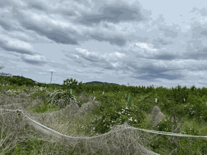 경상북도 경산시 남산면 답 경매 물건 사진