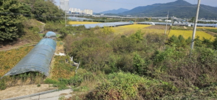 경상북도 김천시 농소면 답 경매 물건 사진
