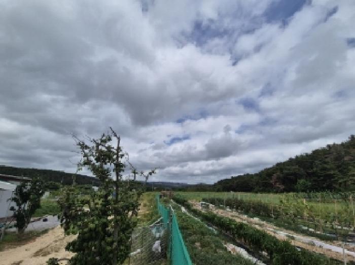 경상북도 포항시 북구 답 경매 물건 사진