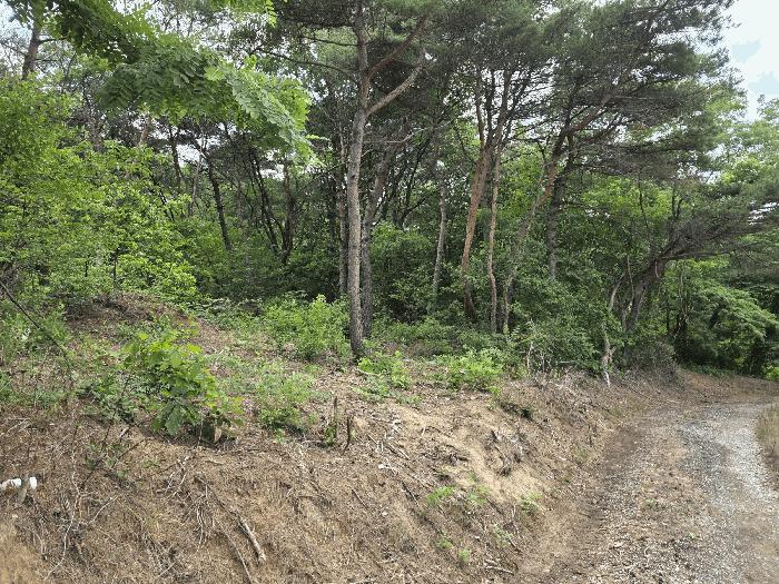 경상북도 포항시 남구 임야 경매 물건 사진
