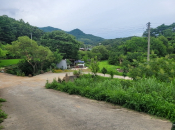 경상북도 성주군 월항면 답 경매 물건 사진