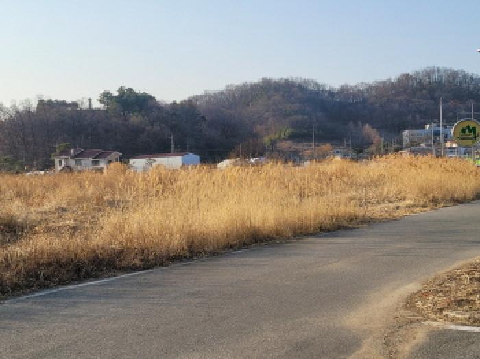 경상북도 성주군 성주읍 과수원 경매 물건 사진