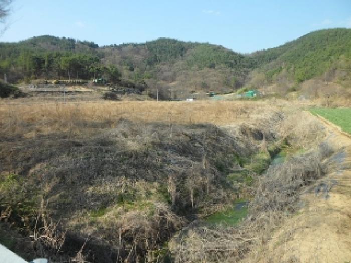 대구광역시 달성군 구지면 답 경매 물건 사진