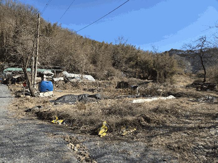 경상북도 고령군 다산면 전 경매 물건 사진