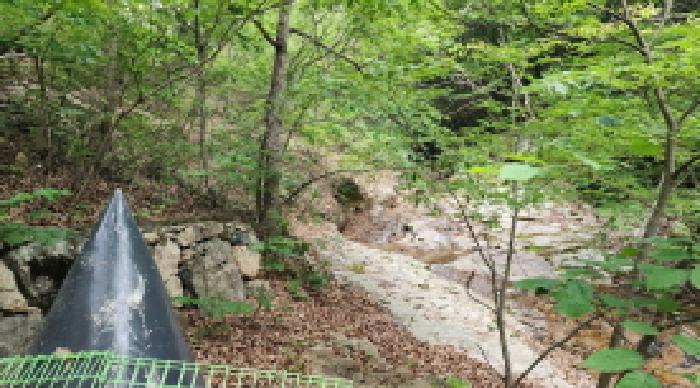 경상남도 양산시 원동면 임야 경매 물건 사진