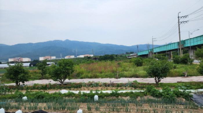 경상남도 양산시 물금읍 답 경매 물건 사진