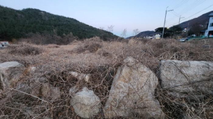 울산광역시 울주군 상북면 대지 경매 물건 사진
