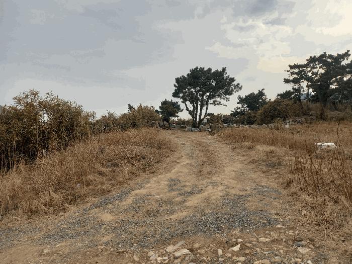 울산광역시 동구 주전동 전 경매 물건 사진