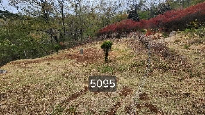 부산광역시 기장군 정관읍 임야 경매 물건 사진