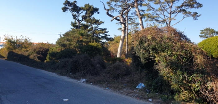 부산광역시 강서구 대저1동 전 경매 물건 사진