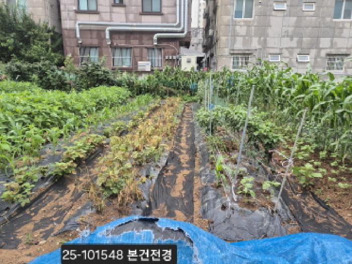 부산광역시 강서구 지사동 대지 경매 물건 사진
