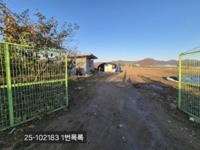 부산광역시 강서구 대저1동 토지 기타 경매 물건 사진