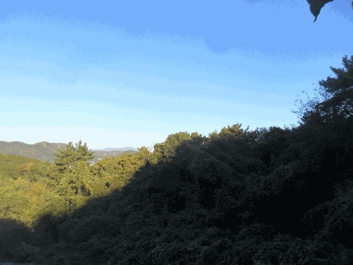 경상남도 창원시 의창구 임야 경매 물건 사진