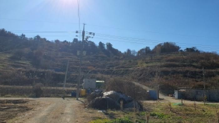 경상남도 김해시 진영읍 과수원 경매 물건 사진