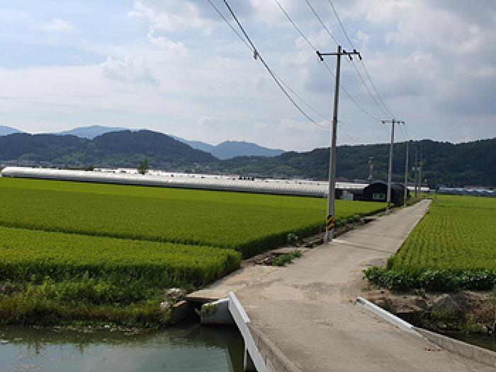경상남도 김해시 화목동 답 경매 물건 사진