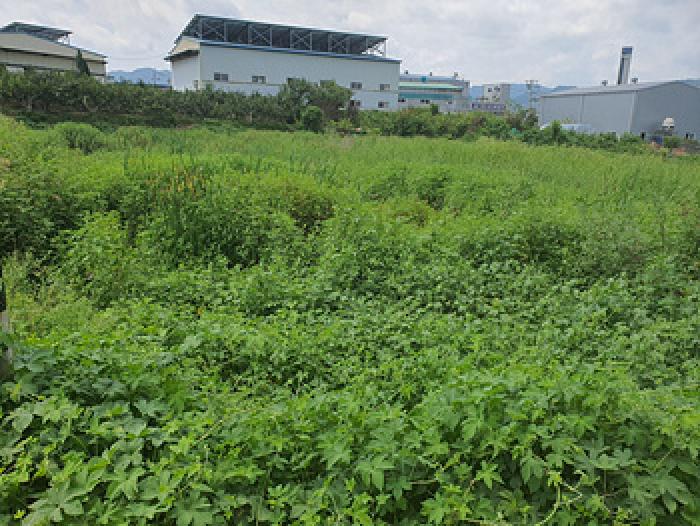 경상남도 김해시 진례면 답 경매 물건 사진