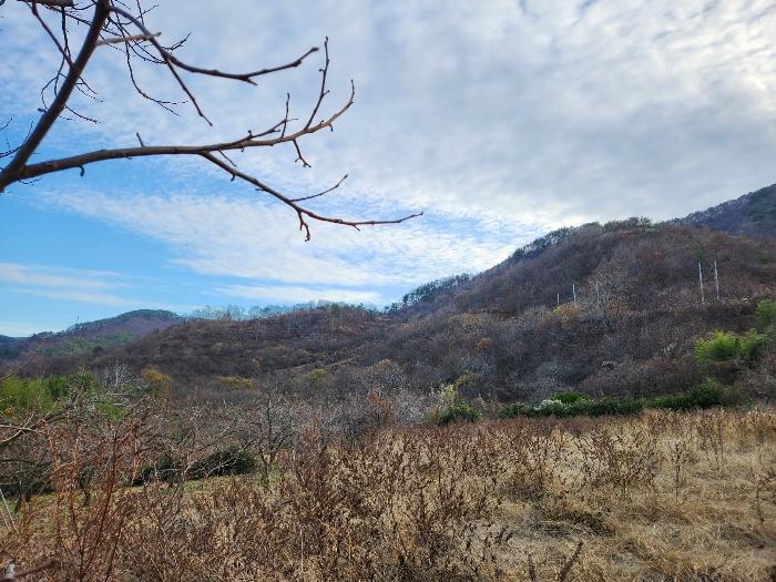 경상남도 산청군 시천면 임야 경매 물건 사진