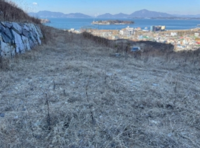 경상남도 사천시 실안동 답 경매 물건 사진