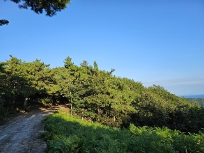 경상남도 남해군 창선면 임야 경매 물건 사진