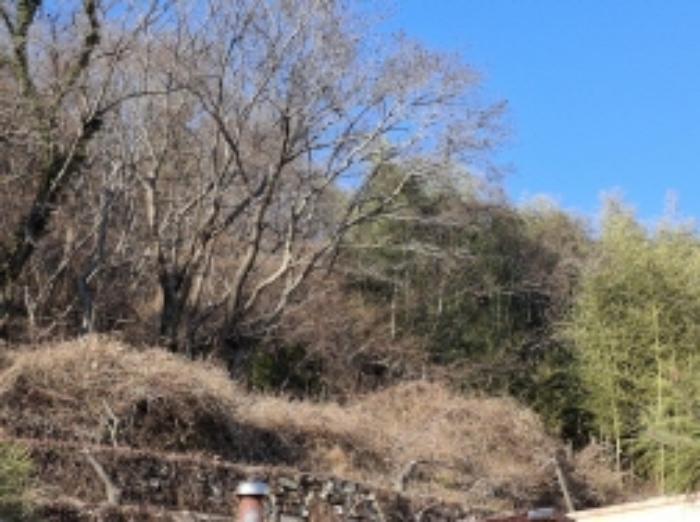 경상남도 남해군 상주면 전 경매 물건 사진
