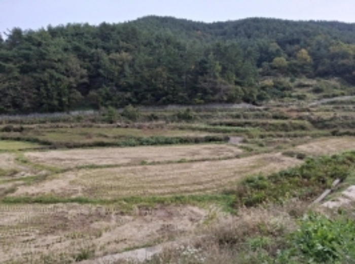 경상남도 남해군 삼동면 답 경매 물건 사진