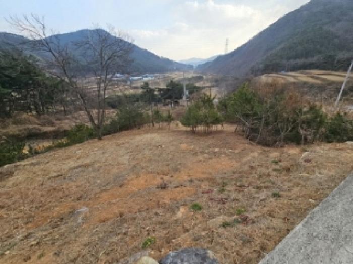 경상남도 산청군 단성면 단독주택 경매 물건 사진