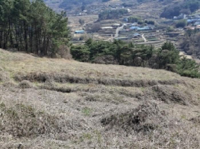 경상남도 남해군 서면 전 경매 물건 사진