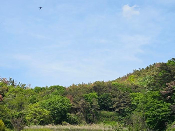 경상남도 진주시 금곡면 임야 경매 물건 사진